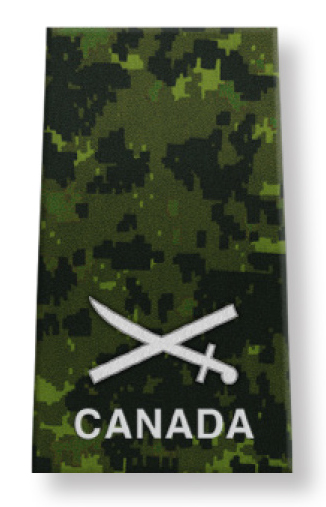 Brigadier-General (BGen)