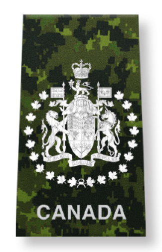 Canadian Forces Chief Warrant Officer (CFCWO)