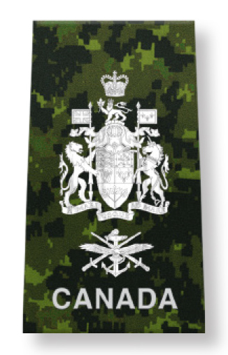 Senior Appointment Chief Warrant Officer (SA CWO)