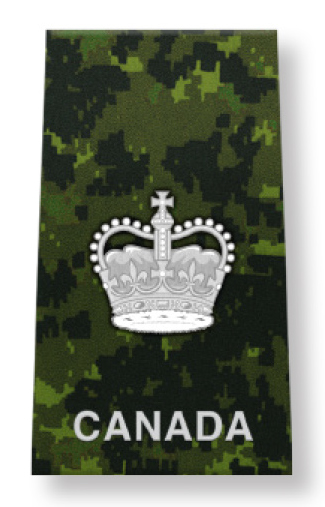 Warrant Officer (WO)