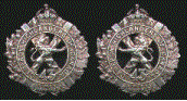 Collar Badges